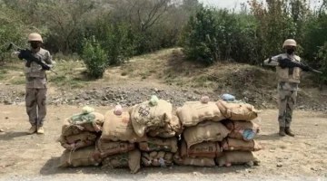 القبض على مهرب إثيوبي وبحوزته 50 كيلوجرامًا من القات بعسير